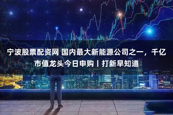 宁波股票配资网 国内最大新能源公司之一，千亿市值龙头今日申购丨打新早知道