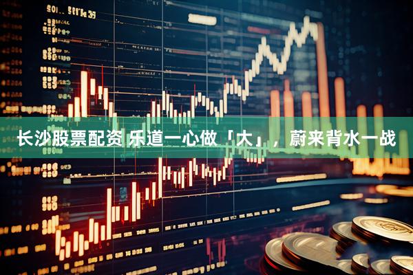 长沙股票配资 乐道一心做「大」，蔚来背水一战